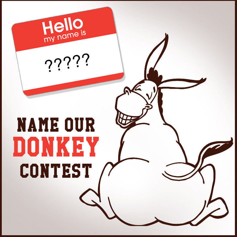 Name Our Donkey Contest!
