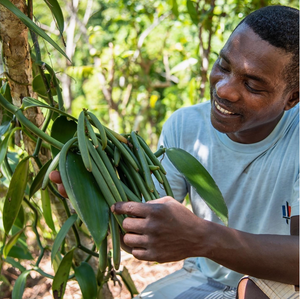 Dick Taylor Vanilla Milk Chocolate