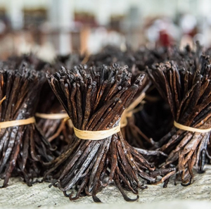 Dick Taylor Vanilla Milk Chocolate