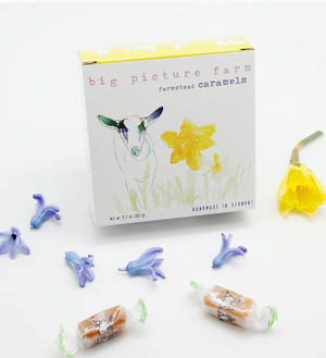 Daffodil Caramel Box |